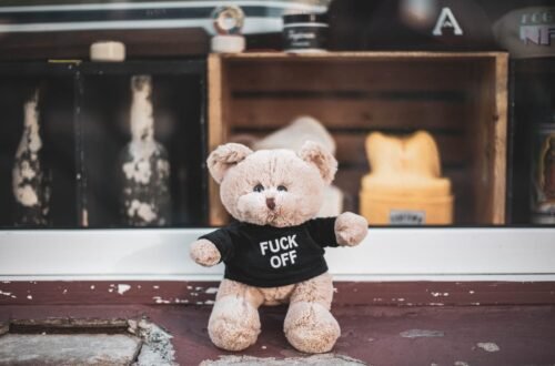 A bear with a shirt that says "Fuck off"